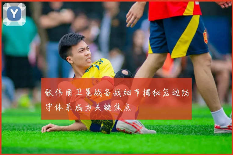 张伟丽卫冕战备战细节揭秘笼边防守体系成为关键焦点